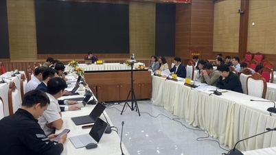 람동, 공유 데이터베이스 프로젝트 진행 속도 높여