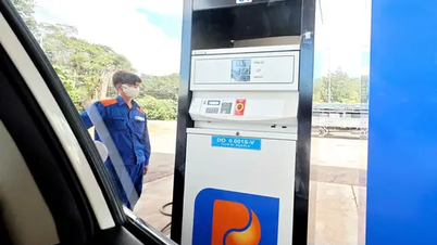 Preço da gasolina hoje, 16 de outubro: mundo 'atingiu o fundo do poço' em 5 meses, gasolina doméstica aumentou?