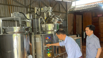 Industrieförderung trägt zur Förderung der ländlichen Industrie in Tuyen Quang bei