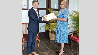वियतनाम सेंट किट्स और नेविस फेडरेशन के साथ मैत्री और बहुमुखी सहयोग को महत्व देता है और उसे बढ़ावा देना चाहता है।