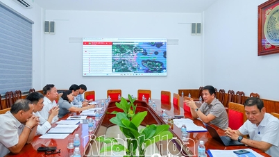 Survei dan memberikan saran kepada Komite Rakyat Provinsi mengenai isi yang terkait dengan proposal Surat Kabar Nhan Dan