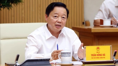 독립적이고 자율적인 철도 산업 형성