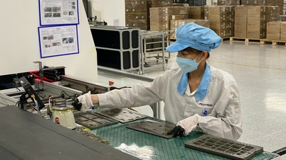 Chuyển đổi xanh trong các khu công nghiệp, khu kinh tế ở Hải Phòng