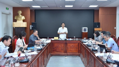 सिटी पीपुल्स काउंसिल की कानूनी समिति 4 परियोजनाओं पर काम कर रही है, जिनसे विशेष तंत्रों का परीक्षण करने की उम्मीद है।