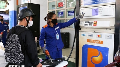 RON95-III gasoline price up to nearly 20,000 VND per liter