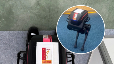 Pourquoi le logo de l’Université des sciences et technologies de Hanoi figure-t-il sur les robots importés ?