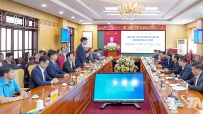Para pemimpin provinsi Thai Nguyen menerima dan bekerja sama dengan Samsung Vietnam Group