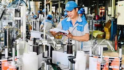 Tay Ninh: Tujuan investasi yang menarik dengan kebijakan preferensial dan infrastruktur yang sinkron