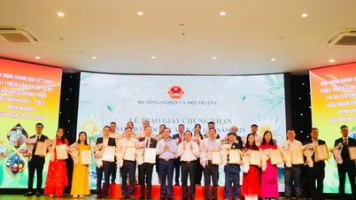 The whole country has nearly 17,400 OCOP products and more than 600 agricultural and rural tourism models.