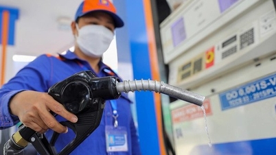 Preços da gasolina aumentam, preços do petróleo diminuem ligeiramente a partir desta tarde