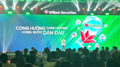 VPBank는 주당 33,900 VND에 주식을 대중에게 제공합니다.