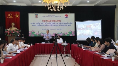 Menyempurnakan Lembaga Juru Sita untuk Memenuhi Kebutuhan Pembangunan Negara di Era Baru