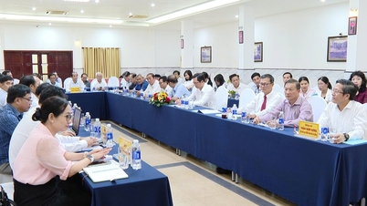 Da Nang mendukung koperasi dalam melakukan konversi dan restrukturisasi sesuai model baru.