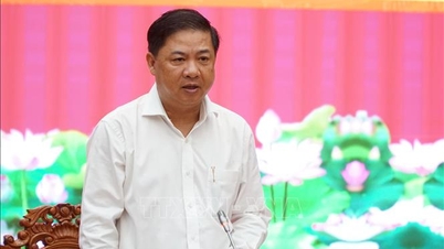 کامریڈ Luong Nguyen Minh Triet کو ڈاک لک صوبائی پارٹی کمیٹی کا سیکرٹری مقرر کیا گیا۔