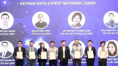 Jungunternehmer Do Vinh Quang wird Vizepräsident des Global Data Experts Network