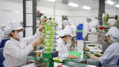 Bisnis di Da Nang mempromosikan produk melalui siaran langsung