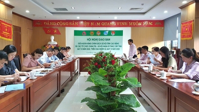 Total outstanding loans entrusted through socio-political organizations reached over 5,000 billion VND - Cao Bang Electronic Newspaper