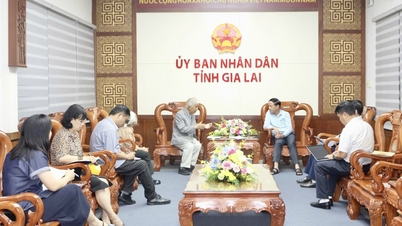 Der Vorsitzende des Volkskomitees der Provinz, Pham Anh Tuan, empfing und arbeitete mit Professor Tran Thanh Van