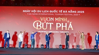 Da Nang International Tourism Festival 2025: Reaching out and breaking through