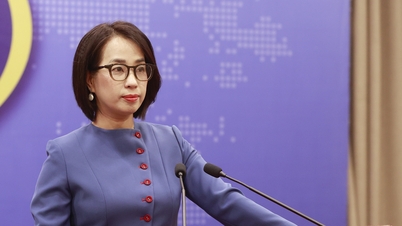 Resposta do Vietname à notícia de que os EUA estão impondo tarifas sobre produtos de madeira