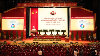 Introduserer 86 kadrer for å velge 75 personer til den nye eksekutivkomiteen i Hanoi-partikomiteen
