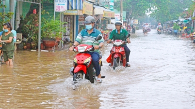 Triều cường làm tràn trên 12,4km bờ bao, ước thiệt hại trên 370 triệu đồng