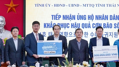 O Comitê Permanente do Partido Provincial recebeu e trabalhou com o Samsung Vietnam Group e recebeu apoio de localidades, unidades e empresas.