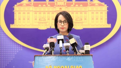Welcome the United States' objective assessment of Vietnam's positive results in preventing and combating human trafficking.