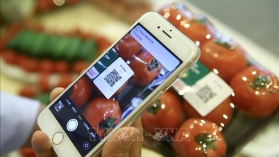 Identification and traceability of chemicals and precursors on the VNeID platform