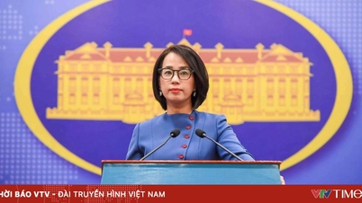 Vietnam is extremely concerned about the incident that occurred in the territorial waters of Thi Tu Island.