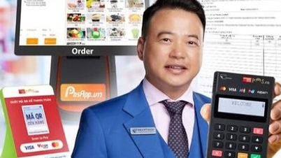 Shark Binh's arrest: Revealing the scale of the "golden goose" NextPay