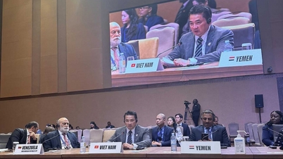 O Movimento dos Países Não Alinhados precisa fortalecer a solidariedade e promover seu papel de contribuir ativamente para a paz, a cooperação e o desenvolvimento no mundo.