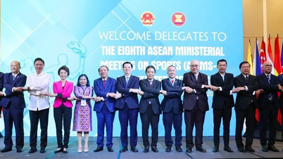 Octava Reunión Ministerial de la ASEAN sobre Deportes
