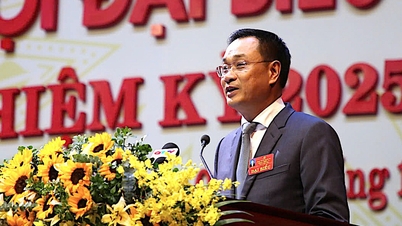 광트리성 당위원회 서기인 레 응옥 광 씨가 다낭시 당위원회 서기로 임명되었습니다.