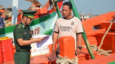 ອານ​ຢາງ ຜັນ​ຂະຫຍາຍ​ບັນດາ​ໜ້າ​ທີ່​ອັນ​ຮີບ​ດ່ວນ​ເພື່ອ​ຕ້ານ​ການ​ຫາ​ປາ IUU.