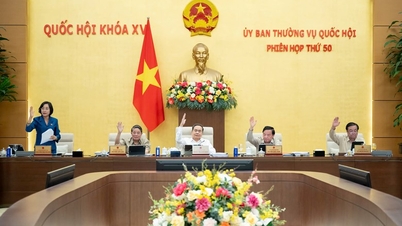 Minister Pham Thi Thanh Tra: Ministerstwo Spraw Wewnętrznych koncentruje się na dokończeniu projektu klasyfikacji jednostek administracyjnych
