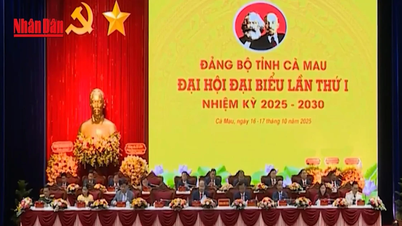 [វីដេអូ] សមាជគណៈប្រតិភូគណៈកម្មាធិការបក្សខេត្ត Ca Mau បានបើកសម័យប្រជុំត្រៀម