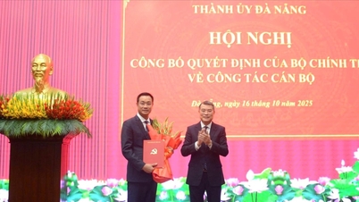 Mr. Le Ngoc Quang was appointed as Secretary of the Da Nang City Party Committee.