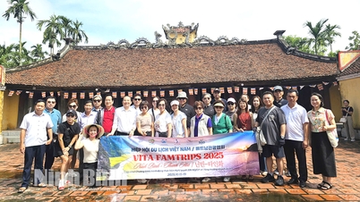 Delegação internacional da Famtrip pesquisa produtos turísticos em Ninh Binh