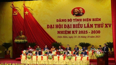 ディエンビエン省第15回議会(任期2025~2030年)の概要