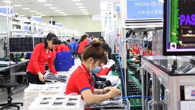 Bac Ninh, işletmelerin üretim teknolojisi düzeyi ve kapasitesinin değerlendirilmesini uyguluyor