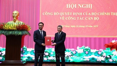 Kamerad Le Ngoc Quang diangkat sebagai Sekretaris Komite Partai Kota Da Nang.