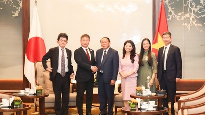 Opening a new chapter in sports cooperation between Vietnam and Japan