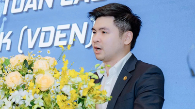 M. Do Vinh Quang, fils de M. Hien, est vice-président du Vietnam Global Data Experts Network.