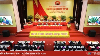 タインホア省党大会:団結、革新、発展への願望