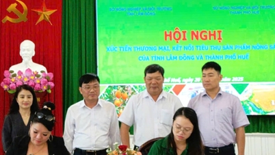 OCOP Lam Dong - Hue, ແຜ່ຂະຫຍາຍມູນຄ່າຍີ່ຫໍ້