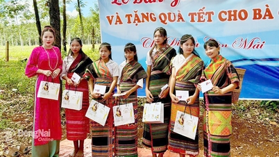 ຜູ້ປະກອບການປະກອບສ່ວນເຜີຍແຜ່ຈິດໃຈຂອງມະນຸດ
