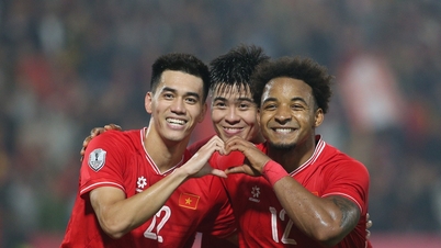 Vietnam National Team: Why does Mr. Kim Sang Sik crave naturalized players?