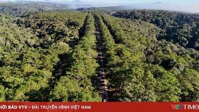 Mở lối cho “Thiên đường xanh” ở Măng Đen