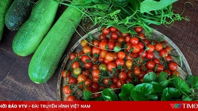 Intressanta makrobiotiska rätter från hemträdgården